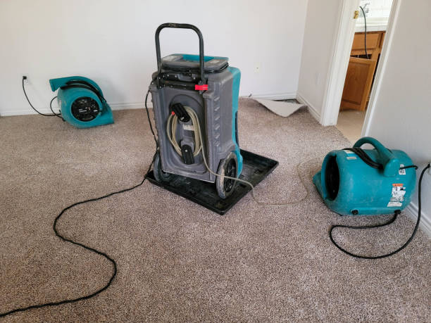 Best Water damage restoration near me  in Oakhurst, OK