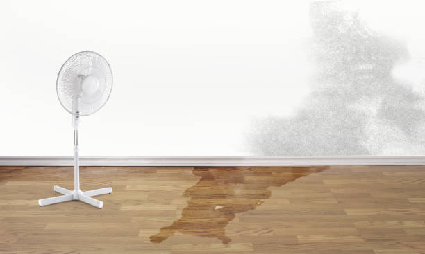 Best Flooded house restoration  in Oakhurst, OK